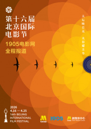 久久午夜激情